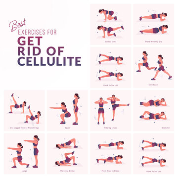 Women workout set. Women doing fitness and yoga exercises. Mountain Climbers, Flutter kicks, Plank To Toe Lift, Plank Rotation, Leg Raises, knee to elbow kickback, In and Out, Lean back hold etc