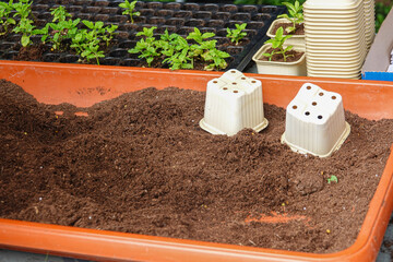 A gardener prepares soil in a tray for planting while nearby pots sit ready for seedlings.