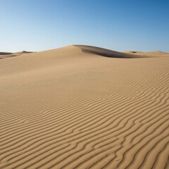 Expansive natural landscape of incredibly fine, uniform sand dunes stretching toward the distant horizon under bright, clear natural daylight ,journey ,natural ,outdoor