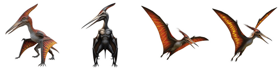 Set of prehistoric pterodactyl dinosaurs in flying and standing poses isolated on white background