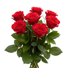 Fototapeta premium A bouquet of fresh cut red roses flowers transparent background