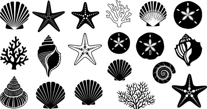 Sea shells, starfish, corals, and sand dollar silhouettes, marine life vector icons, ocean nature illustration, beach elements collection, underwater wildlife design