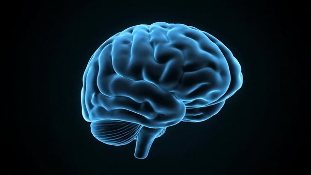 Holographic brain with glowing blue lines against dark background. Digital representation of human brain with intricate neural connections and pathways.