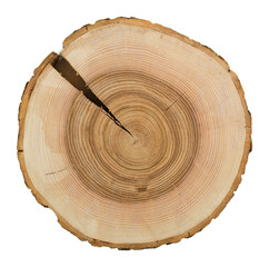 Obraz premium Wooden stump isolated on the white background. Wood slice shows growth rings and natural crack.