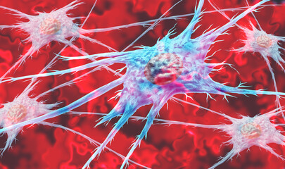Fibroblast Cell as the anatomy or anatomical structure and components of fibroblasts as cells producing collagen and maintaining connective tissue related to celullar reprogramming.