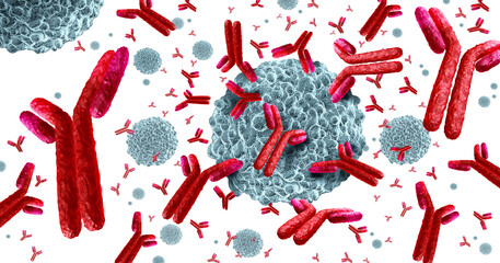 Antibody Immune System  and White blood cells as Immunotherapy lymphocyte cells with t cell antibodies blood as a concept of immunology as microscopic biology symbol inside the human body.