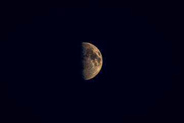Halbmond © Max