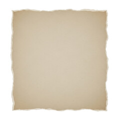 A square piece of rough textured paper with torn edges on a white background.