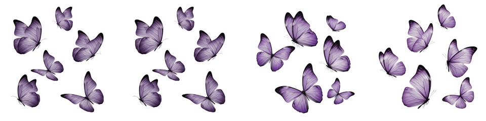 Set of elegant purple butterflies flying in groups, aesthetic watercolor butterfly wings collection isolated on white background © Druvh