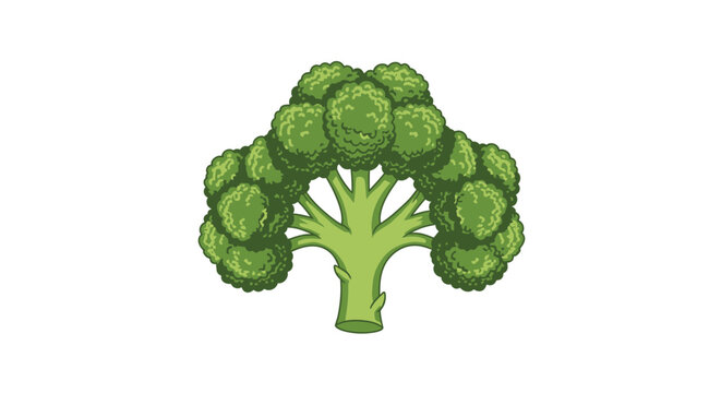A vibrant illustration of a fresh green broccoli floret on a white background