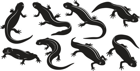 Obraz premium Collection of various lizard silhouettes on a white background showcasing different poses and shapes silhouette