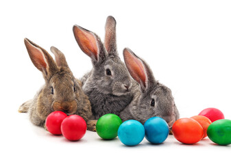 Three rabbits with colorful easter eggs.