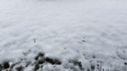 Close-up texture of fresh snow covering the ground with hints of grass peeking through