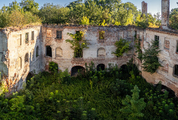 Ruiny pałacu w Chrzelicach porośnięte bujną roślinnością, historyczna architektura w letnim świetle, opuszczony zabytek na Śląsku Opolskim. © Henryk Niestrój