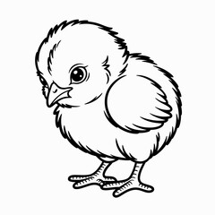 A cute and fluffy baby chick standing on a plain surface with a curious expression isolated on white background, Vector, illustration