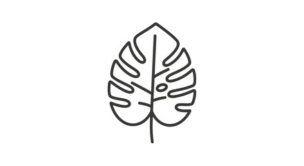 Simple line drawing of a monstera leaf on white background. © nevermind