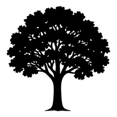 Fototapeta premium Illustration of silhouette of a mature deciduous tree with dense foliage, black and white graphic