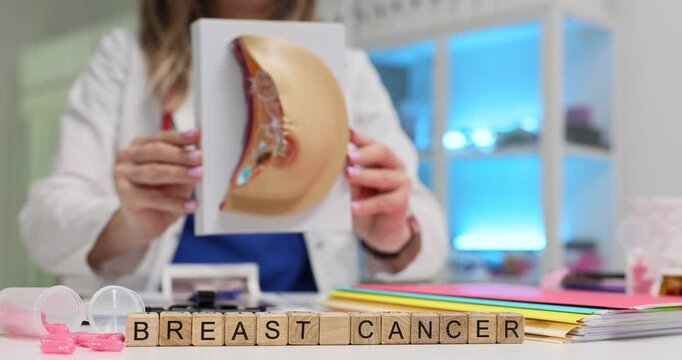 Woman oncologist sits at desk and holds anatomical breast model showing to patient. Miniature wooden cubes form phrase Breast Cancer. Slow motion