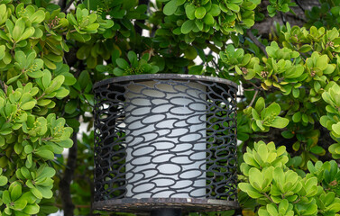 light fixture in park with trees