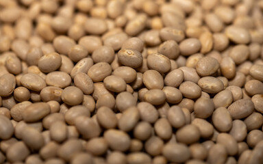 close up of navy beans background