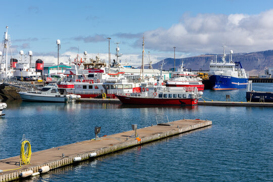 Reykjavik, Iceland, 14.05.22. Whale watching tour boats and fishing vessels in Reykjavik harbor Iceland.