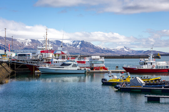Reykjavik, Iceland, 14.05.22. Whale watching ships and fishing boats in Reykjavik harbor with Mount Esja.