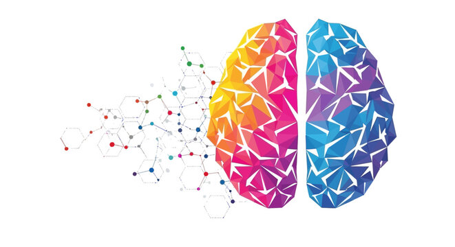 Vector polygonal brain with colorful geometric left and blue right hemispheres, connected by neural network, isolated on white