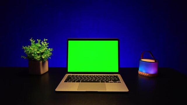 Modern laptop with green screen and decorative plant on a dark desk