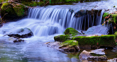 Water flows over rocks in a small stream surrounded by green moss and plants in nature during daytime © Joachim