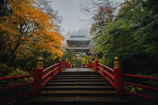 雨の日の雲巌寺の紅葉と山門