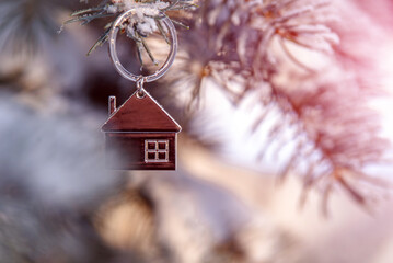 symbol of the house stands on a snow-covered fir branches
