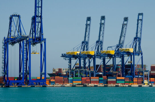 Container terminal with cranes and cargo containers