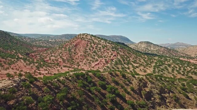 Aerial view on mountains with argan trees in their natural habitat - in Morocco, 4k