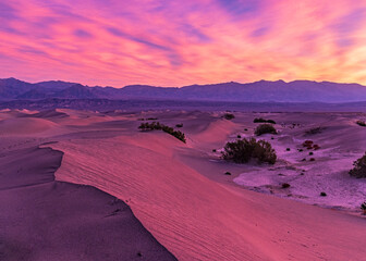 Pink Sand and Purple Mountains