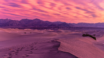 Mesquite Dune Sunrise Panorama