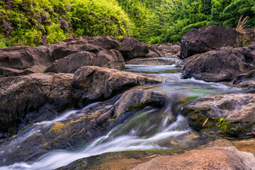 Na'ili'ill Haele Stream and Bamboo Forest