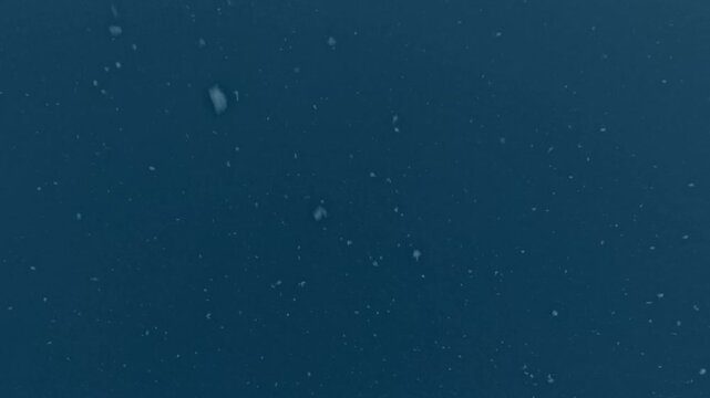 kleine organische Teilchen in Bewegung, Partikel, &ouml;kologische Forschung, Zellen, Biologie, nachhaltige Technologien f&uuml;r wissenschaftliche Pr&auml;sentationen, Mikroorganismen, Mikropartikel, gr&uuml;n
