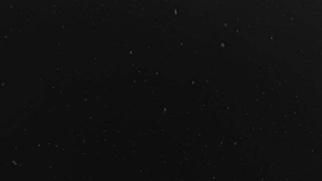 small organic particles in motion, ecological research, cells, biology, sustainable technologies for scientific presentations, microorganisms, microparticles, black, grey, white
