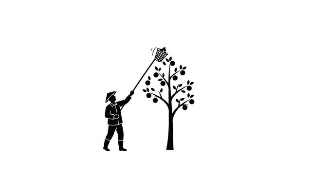 Harvesting Fruit Icon Animation on Clean White Background