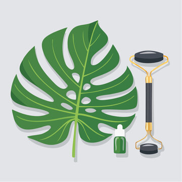 Zielony liść monstery z masażerem do twarzy i serum &ndash; naturalna pielęgnacja sk&oacute;ry, domowe spa i kosmetyka.