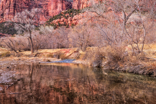 Patriarch Quiet Reflections