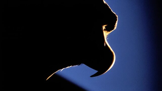 A shadowed profile, illuminated by a warm glow, against a gradient of blue