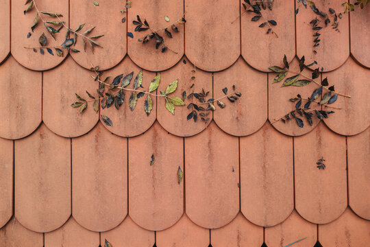 Texture of red terracotta beaver tail roof tiles with scattered dry autumn leaves and twigs.