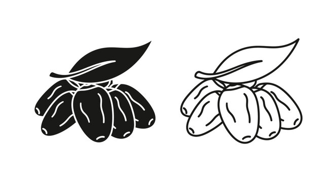 Date fruit bunch with leaf vector icon set. Black silhouette and outline line art illustration, isolated on white