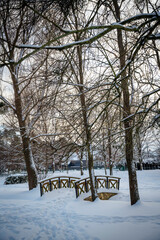 Snow-covered path in a city park during winter. Bare trees and frozen ground in cold seasonal landscape.
