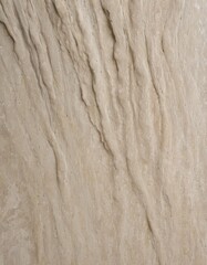 Brushed Travertine Matte Textured Stone Background
