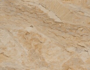 Buff Limestone with Subtle Fossil Traces