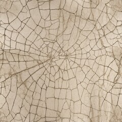 Obraz premium Antique Ceramic Crackle Texture with Spider Web Cracks