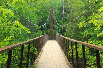 Fototapeta premium Henry David Thoreau Footbridge in spring in Washington Depot, Connecticut