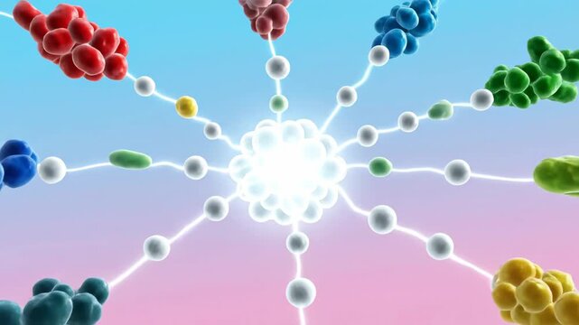 3D Animation of Human Embryonic Stem Cell Differentiation